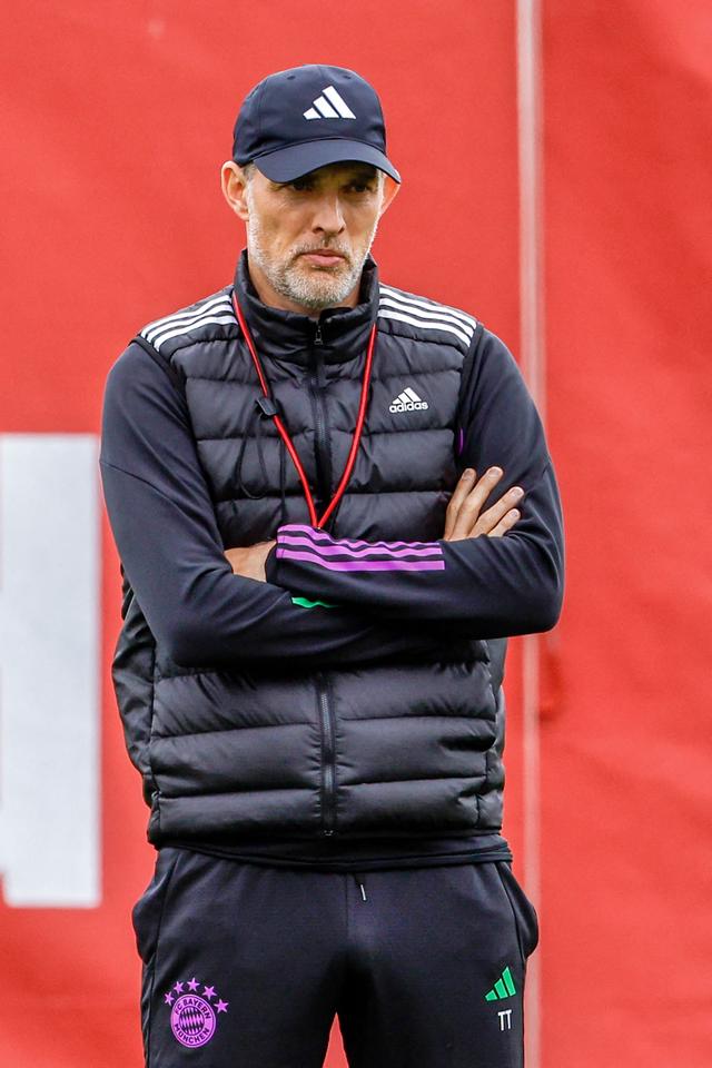 包含山东泰山止住颓势备战欧冠阿扎伦卡在拜仁比赛中问鼎冠军，网友：纽卡斯尔止住颓势备战欧联的词条